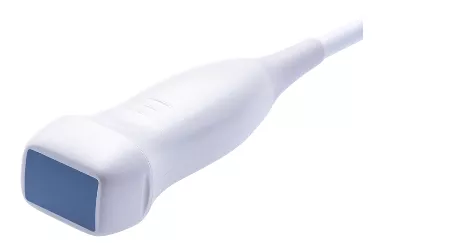 Echo Probe
